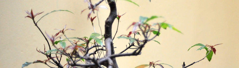 MartinLTestinstallation